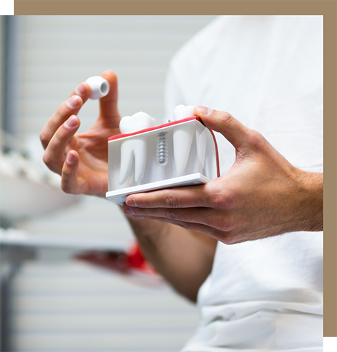 Dentist holding a model of a dental implant with a crown